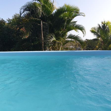 Le Goyav' Appart Avec Piscine Et Jacuzzi Au Vauclin مدينة لو فوكلين المظهر الخارجي الصورة